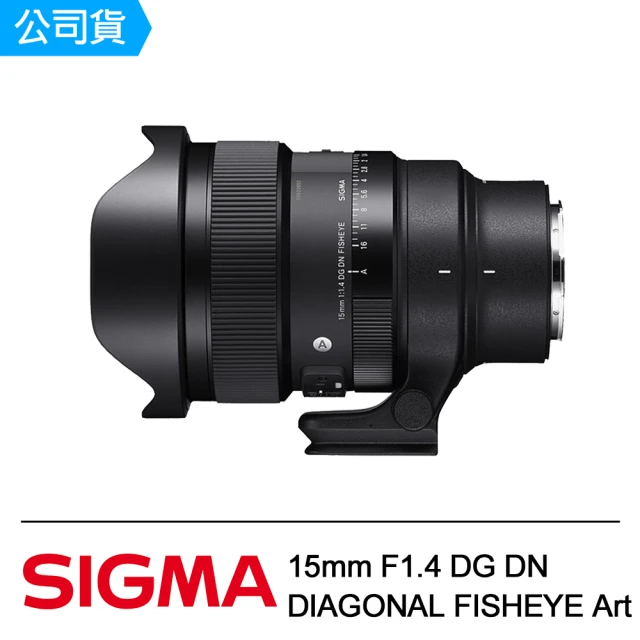Sigma 500mm F5.6 DG DN OS Spor