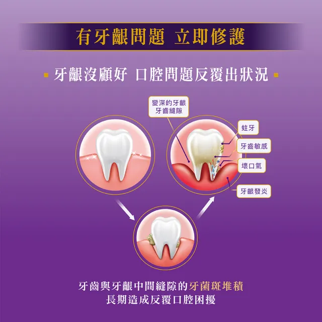 【DARLIE 好來】專業護齦牙膏120gX4入(口氣預防/琺瑯質修護)