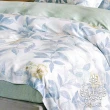 【AGAPE 亞加．貝】頂級60支《微光影》100%純天絲 雙人特大6x7尺 鋪棉兩用被床罩八件組(專櫃100%天絲製)