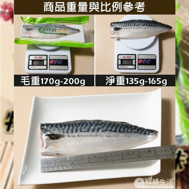 【鮮綠生活】挪威薄鹽鯖魚M 11片(毛重170g-200g/包 淨重135g-165g/片)