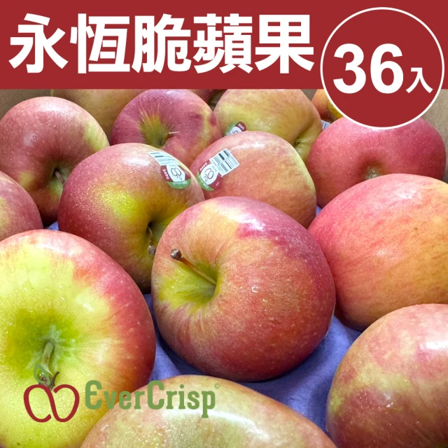 果樹寶石 日本青森金星蘋果特大果28顆x1箱（10KG±10