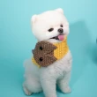 【QIDINA】可愛狐狸頭保暖寵物圍巾(3色任選 寵物外出 寵物保暖)