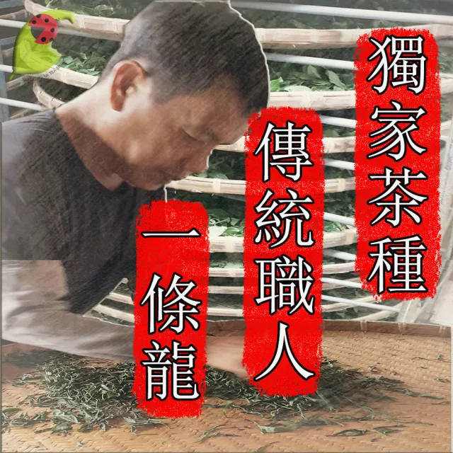 【龍源茶品】梨山特選手採高冷青烏龍茶葉150gx8罐(共2斤;生青茶;無焙火;微發酵;型錄品)