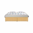 【ASSARI】房間組二件 3分床底+獨立筒床墊(雙人5尺)