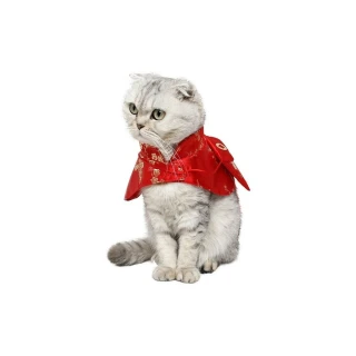 【旺喵福利社】寵物配件 寵物衣服 貓咪衣服 披風 新年紅包(寵物過年衣服)