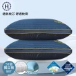【Hilton 希爾頓】奢華幻影銀纖維石墨烯萊賽爾獨立筒枕/買一送一(枕芯x2+枕套x2/枕頭/透氣枕)