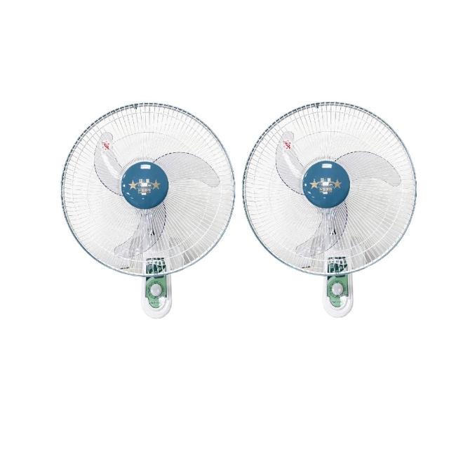 雙星牌 TS-1603 16吋壁扇，臺灣原裝製造，尺寸45x32x52cm，輕巧僅2.5kg，三片式風扇葉提供三段風速調整，適用110V/60Hz電壓，BSMI許可R63068，一年保固確保品質。適合辦公室或家居使用，涼爽舒適，高效節能壁掛風扇首選。