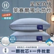 【Hilton 希爾頓】皇家頂級銀離子100支紗萊賽爾獨立筒枕/買一送一/二色任選(枕芯x2+枕套x2/萊賽爾枕/枕頭)