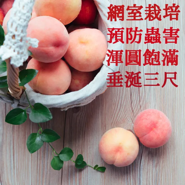 【初品果】高雄甲仙紅玉牛奶蜜桃12顆x1盒(喝牛奶長大的蜜桃哦)