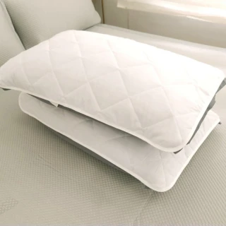 【LUST】SEK棉質保潔枕套 鬆緊帶式《2入》防螨抗菌、台灣製