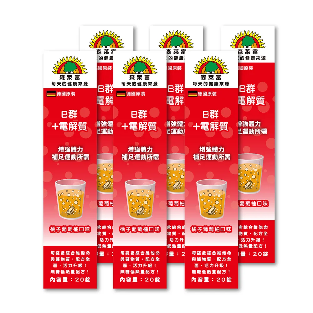 【SUNLIFE森萊富】德國原裝  B群+電解質發泡錠(橘子葡萄柚口味 x 6入組 / 共120錠)