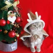 【QIDINA】2入 聖誕麋鹿法蘭絨保暖萌萌寵物披肩-H(貓衣服 寵物服飾 寵物衣服 狗狗衣服)
