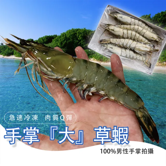 【鮮綠生活】嚴選霸王大草蝦 共5盒(250g±10%/盒 5尾/盒 共25尾)