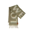【LOEWE 羅威】品牌logo馬海毛混羊毛流蘇圍巾(卡其綠/白)
