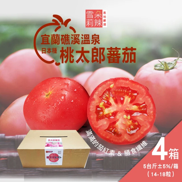 高雄岡山嚴選 網室聖女小番茄9斤x2箱(產地直送)優惠推薦