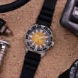 【CITIZEN 星辰】PROMASTER系列 防水200米 潛水機械腕錶 母親節 禮物(NY0120-01X)
