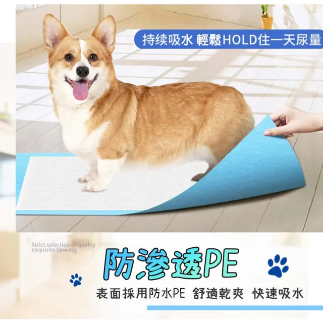 【ENJOY LIFE 樂享生活】寵物吸水尿布墊 5包入(一次性尿墊 狗尿片 免洗尿墊)