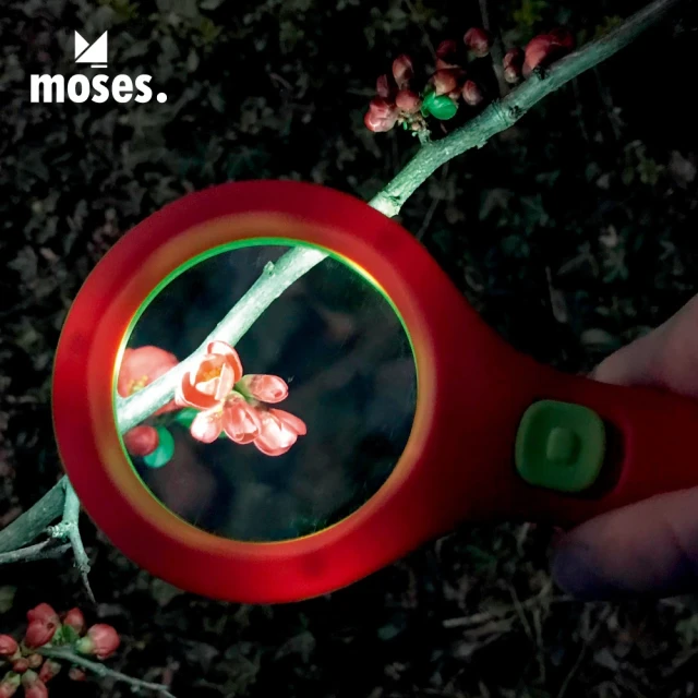 【德國Moses】小園丁系列-LED寬鏡面放大鏡(觀察鏡 科學 益智 玩具 STEM)