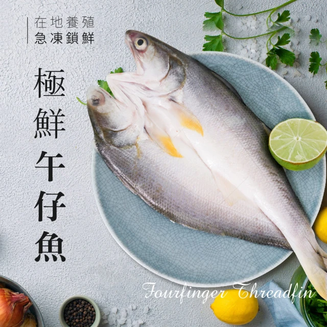 巧食家 台灣午仔魚X20尾(三去、真空 250g~300g/