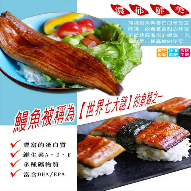 【海之醇】頂級蒲燒鰻魚-5包組(170g±10%/包)