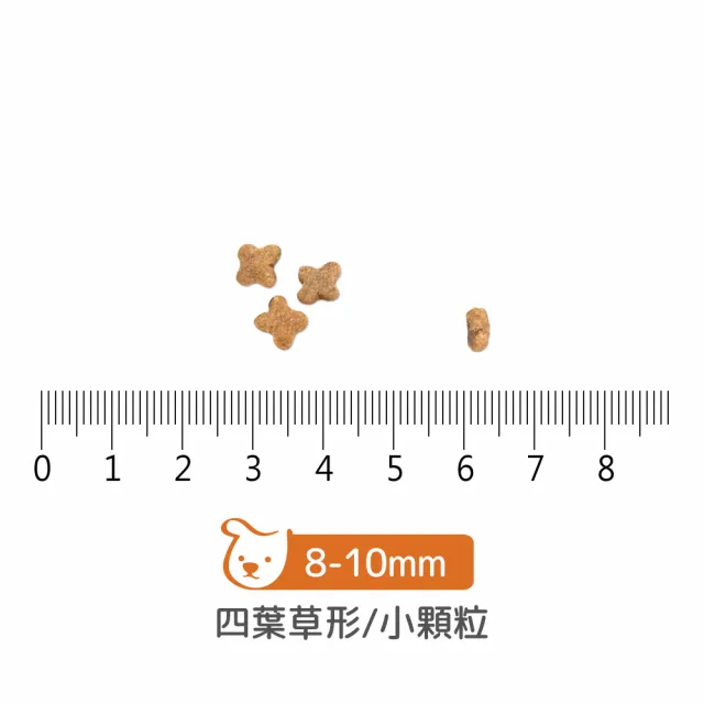 【Now!】小型犬鮮魚配方3.5磅 狗狗無穀天然糧(狗糧 狗飼料 小顆粒 益生菌)