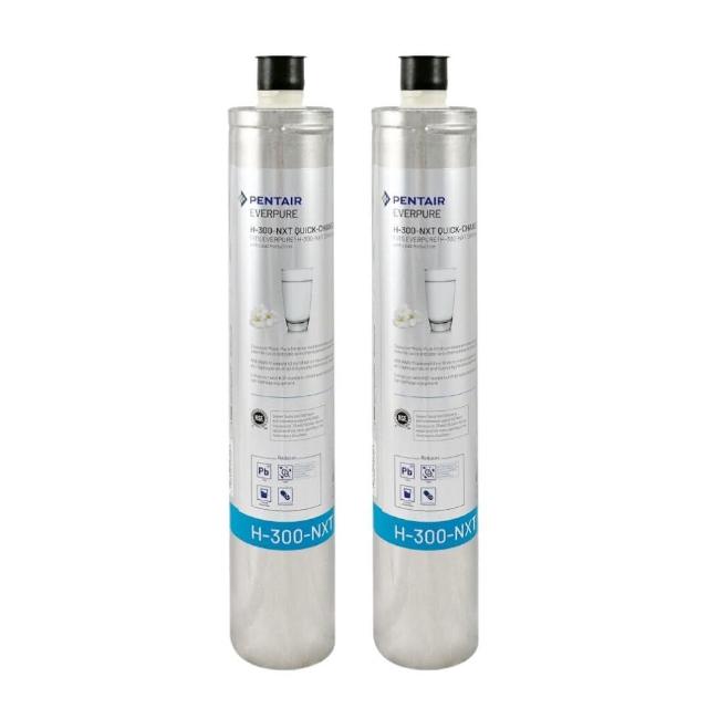 【PENTAIR濱特爾】EVERPURE H300NXT 美國原廠進口 平行輸入(H300NXT*2入裝 濾芯 濾心)