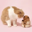【PurLab 噗扑實驗室】貓薄荷玩具 水豚泡澡(貓玩具 逗貓)