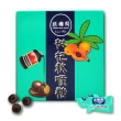 【張國周】枇杷軟喉糖（24入/盒）5盒組(90年經典品牌｜台灣製造)