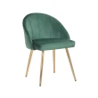 【E-home】艾萊妮絨布鍍金腳休閒椅 綠色(休閒椅 網美椅 會客椅 美甲)