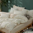 【HOYACASA  禾雅寢具】100%精梳棉兩用被床包組-奶油熊熊(雙人-天絲入棉30%)