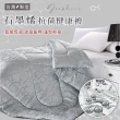 【BELLE VIE】台灣製 石墨烯抗菌保暖冬被胎(180x210cm)