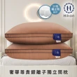 【Hilton 希爾頓】奢華尊貴頂級銀離子純萊賽爾100支紗獨立筒枕/二色任選(枕芯x1+枕套x1/萊賽爾枕/枕頭)