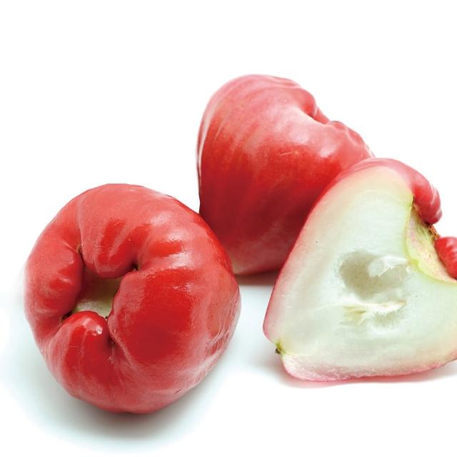 盛花園蔬果 屏東特選黑珍珠蓮霧禮盒2kg x1盒(現採直送)