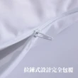 【EverSoft 寶貝墊】Nano 銀離子抗菌枕頭保潔墊53x78 cm（四入）