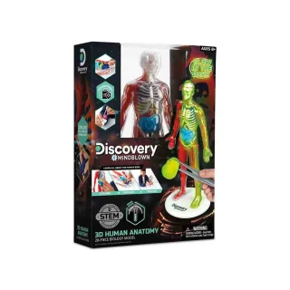 Discovery 夜光版人體探索3D拼圖（28件組）