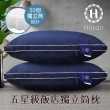 【Hilton 希爾頓】五星級純棉滾邊立體銀離子抑菌獨立筒枕/二色任選(枕頭/透氣枕)