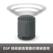 【SONY 索尼】可攜式無線藍牙喇叭 SRS-XB100(公司貨 保固12個月)