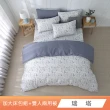 【HongYew 鴻宇】100%精梳棉 兩用被套床包組-多款任選(雙人加大)
