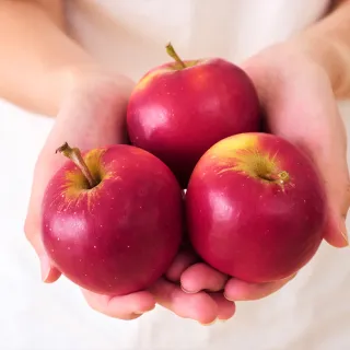 【FruitGo 馥果】紐西蘭Rockit樂淇蘋果360g±10%x6管/盒_每管4顆(6管禮盒_櫻桃蘋果)