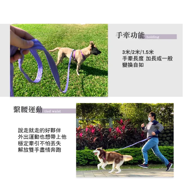 【VILA】20mm多功能3Q拉帶+束口洞洞袋(中小型犬 肩背牽繩 長牽繩 分牽繩 狗牽繩 寵物牽繩 不刮手 三色)