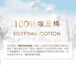 【C&F 香研所】葡萄牙埃及棉方巾-歐洲五星級飯店御用(30x30cm)