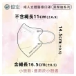【億宏】3D成人立體醫療口罩(多款任選 50片/盒)