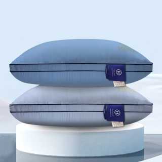 【Hilton 希爾頓】皇家頂級銀離子100支紗萊賽爾獨立筒枕/二色任選(枕芯x1+枕套x1/萊賽爾枕/枕頭)