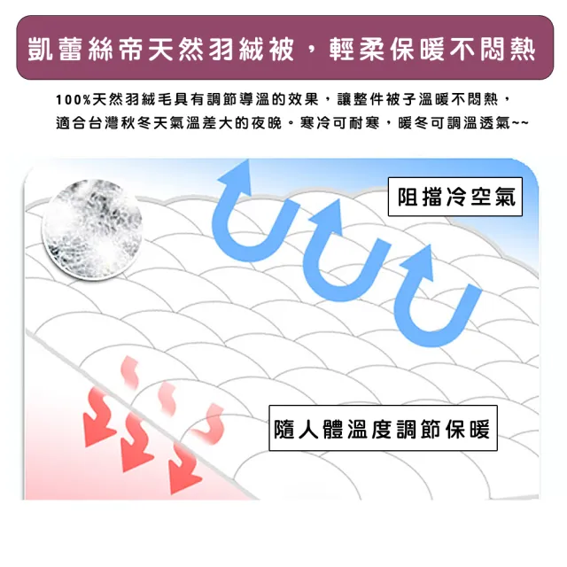 【凱蕾絲帝】台灣製造-7x8尺耐寒5℃羽絨毛被(雙人加大-純天然蓄熱保暖/冬被)