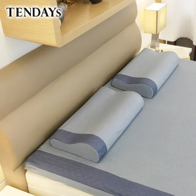 【TENDAYS】玩色柔眠記憶枕(文青藍 8/10cm任選)