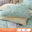 【HongYew 鴻宇】100%精梳棉 枕套-多款任選(2入)