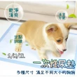 【LIKE PET】寵物吸水尿布墊(一次性尿墊 狗尿片 免洗尿墊)