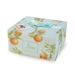 【Loison】義大利 經典柑橘葡萄乾 母親節花果緞帶款1000g(蛋糕 經典 柑橘 鴿子麵包)
