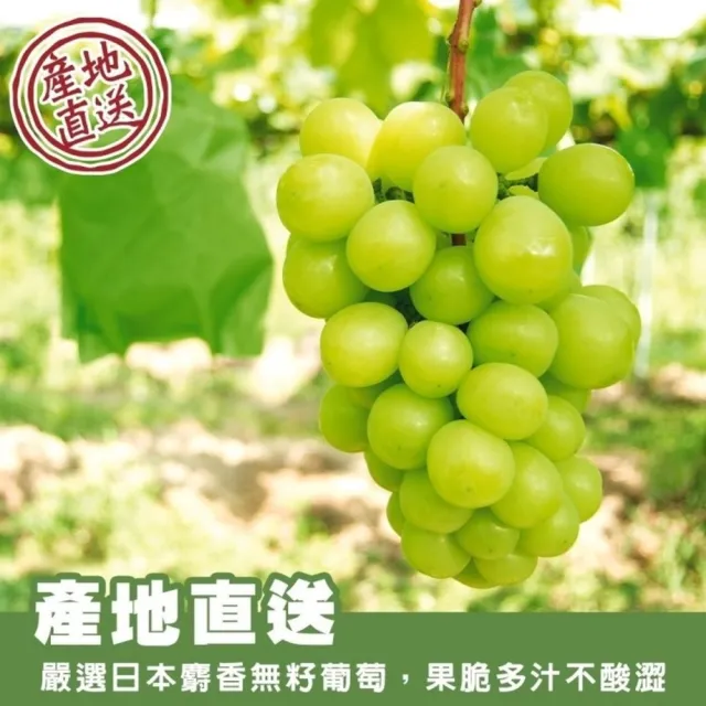 【WANG 蔬果】日本岡山縣晴王麝香葡萄1房禮盒x1盒(550-600g/串)無籽葡萄.水果禮盒.三節送禮