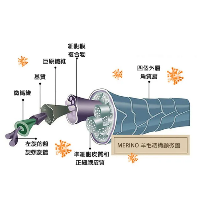 【WILDPEAK 野峰戶外】80%美麗諾羊毛襪 登山襪 全毛圈毛巾中筒保暖襪 滑雪襪